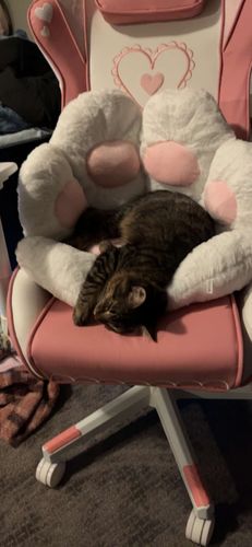 Customer photo review of Cat Girl Kawaii Chair- (SM-MD)