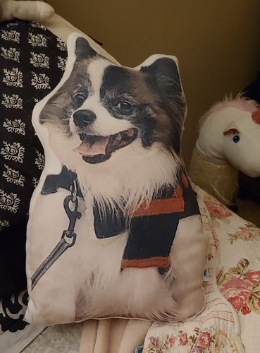 Customer photo review of Create A Custom Dog Pillow