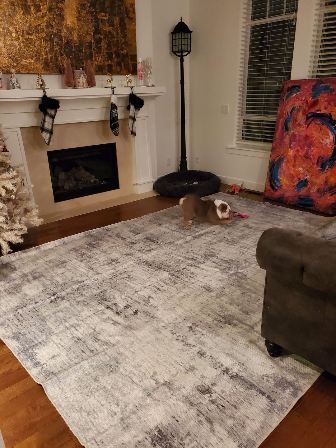 Customer photo review of Abstract Evalina Grey Rug
