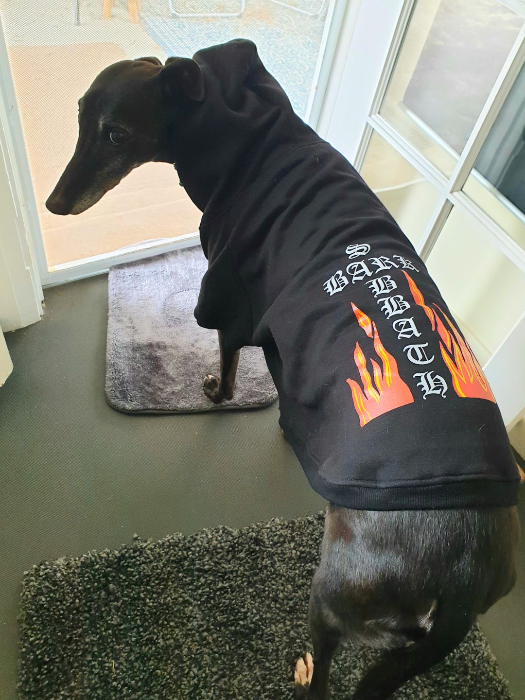 Customer photo review of Gangsta Yapper Dog Hoodie - Personalised