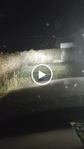 Customer video review of Carifex Compact LED Headlight Sets