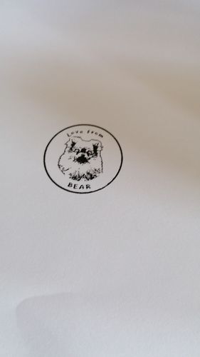 Customer photo review of Self-Inking Face Stamp