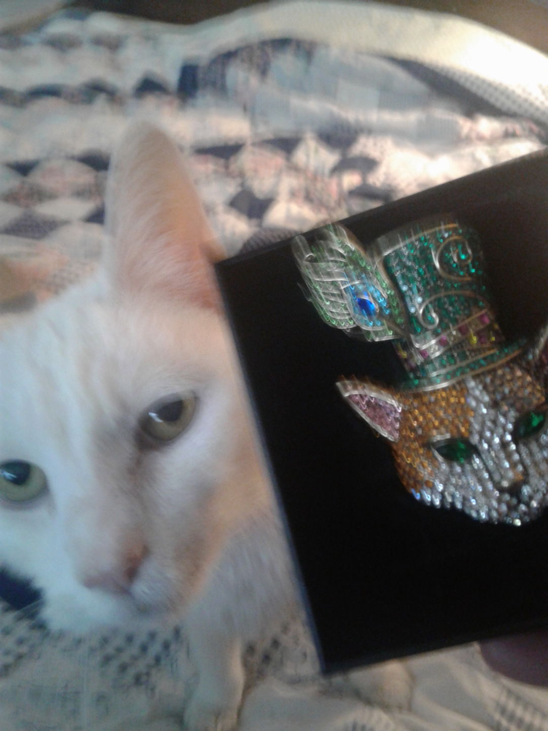 Customer photo review of HEIDI DAUS®"Calico Cutie" Crystal Cat Pin
