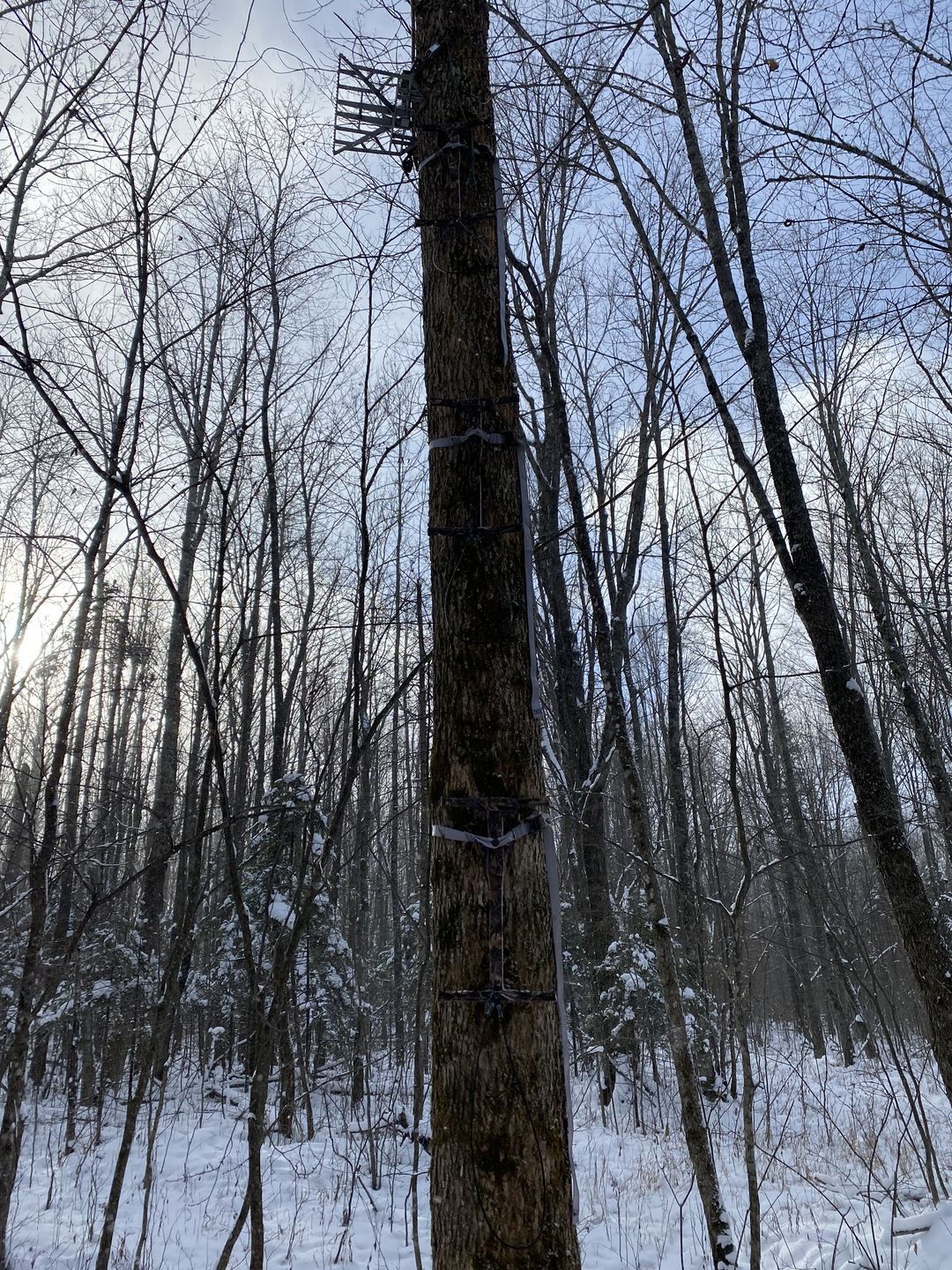 Customer photo review of Cable Aider™️