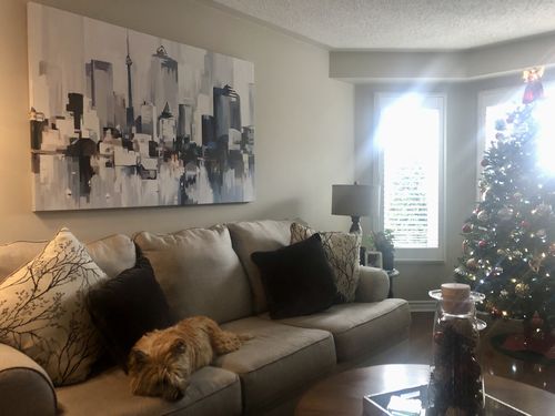 Customer photo review of 'Abstract Toronto' Framed Canvas