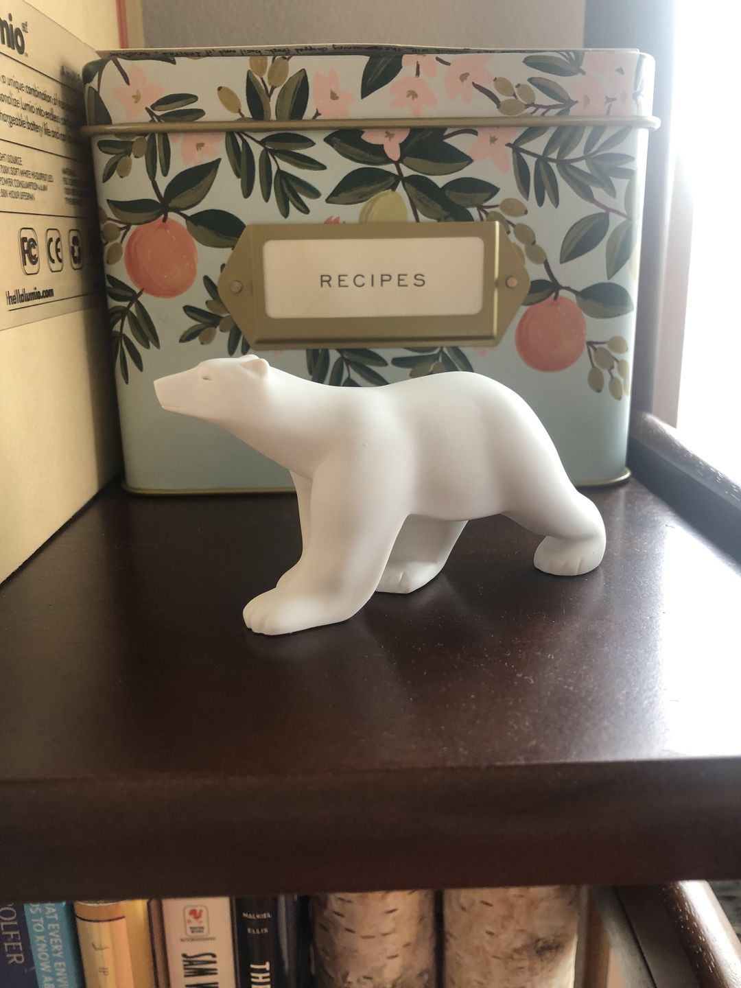 Customer photo review of Pocket Art Pompon Polar Bear Miniature Statue 4.5L