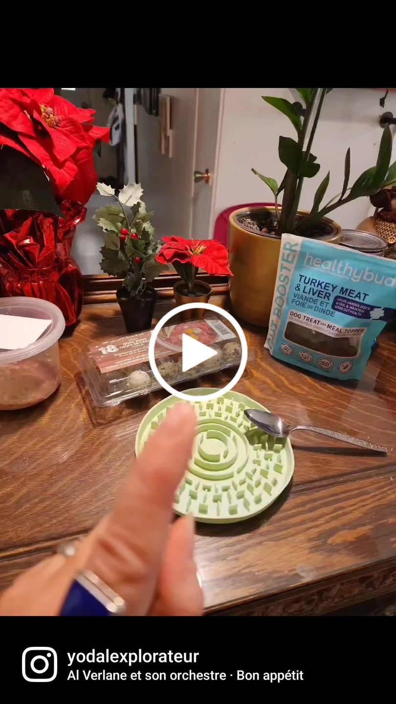 Customer video review of Turkey Gut Booster