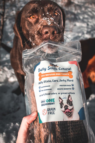 Customer photo review of Jerky Dog Treats Variety Pack