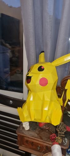 Customer photo review of Patrons Pikachu (pdf)