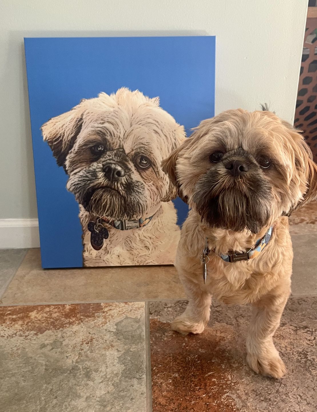 Customer photo review of Custom Pet Art Fleece Blanket