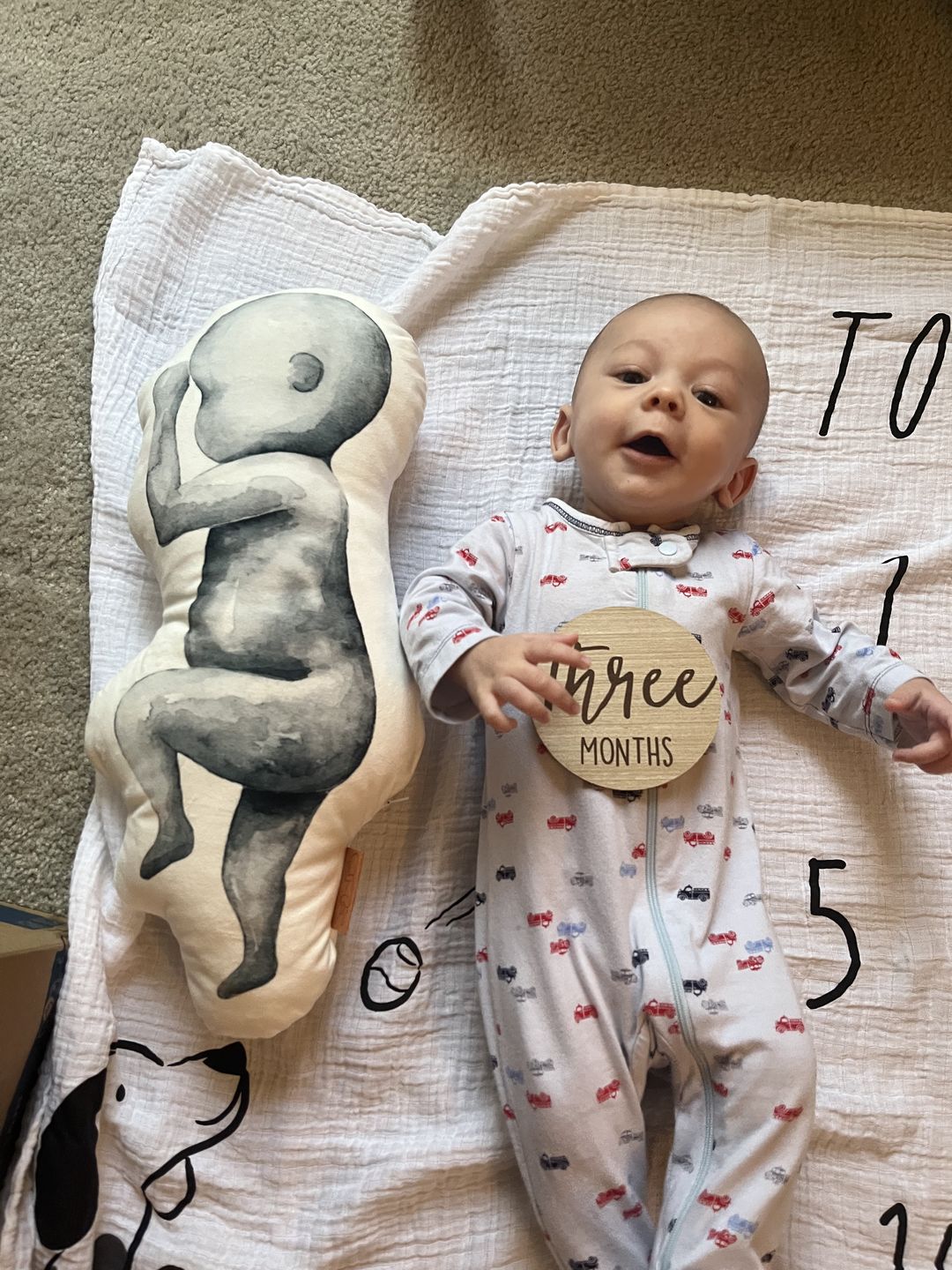 Customer photo review of Birth Pillow Watercolor One