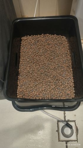 Customer photo review of Weasy Gato