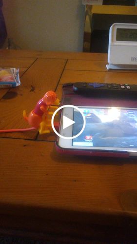 Customer video review of Humping iPhone Charger