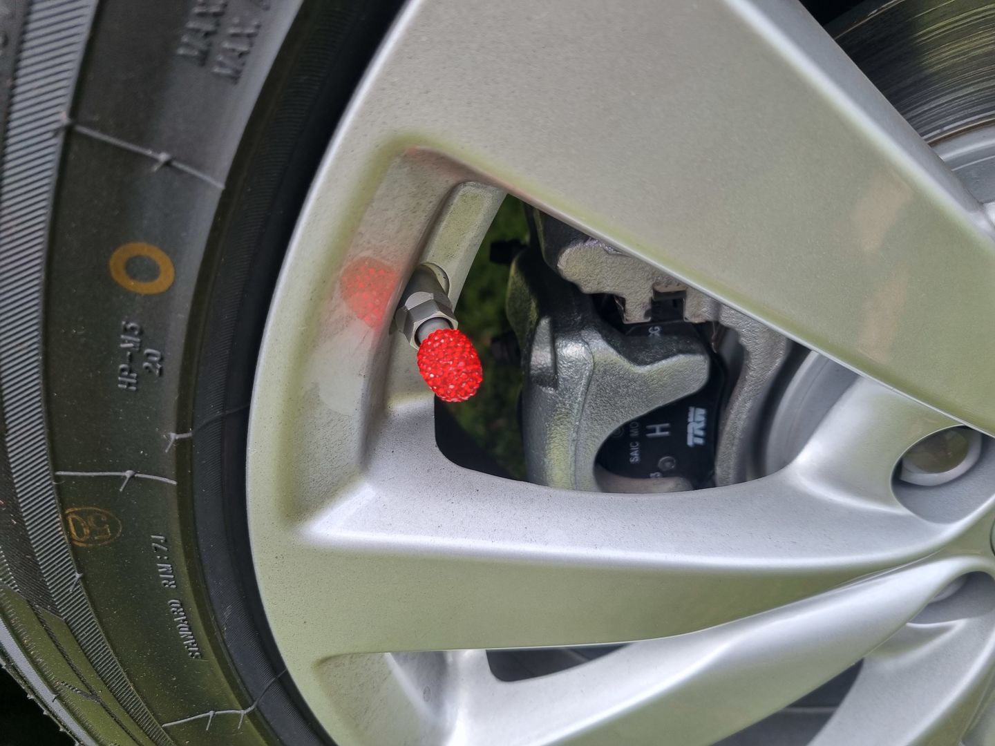 Customer photo review of Lil' Princess Valve Caps
