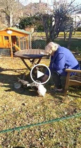 Customer video review of BlackTasty™ Getrocknete Soldatenfliegenlarven