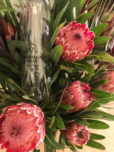 Customer photo review of 1L Sparkling Mineral Water - ZEROPET Bottle (Pack of 12)