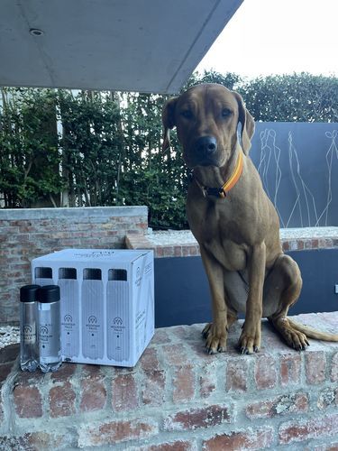Customer photo review of 1L Sparkling Mineral Water - ZEROPET Bottle (Pack of 12)