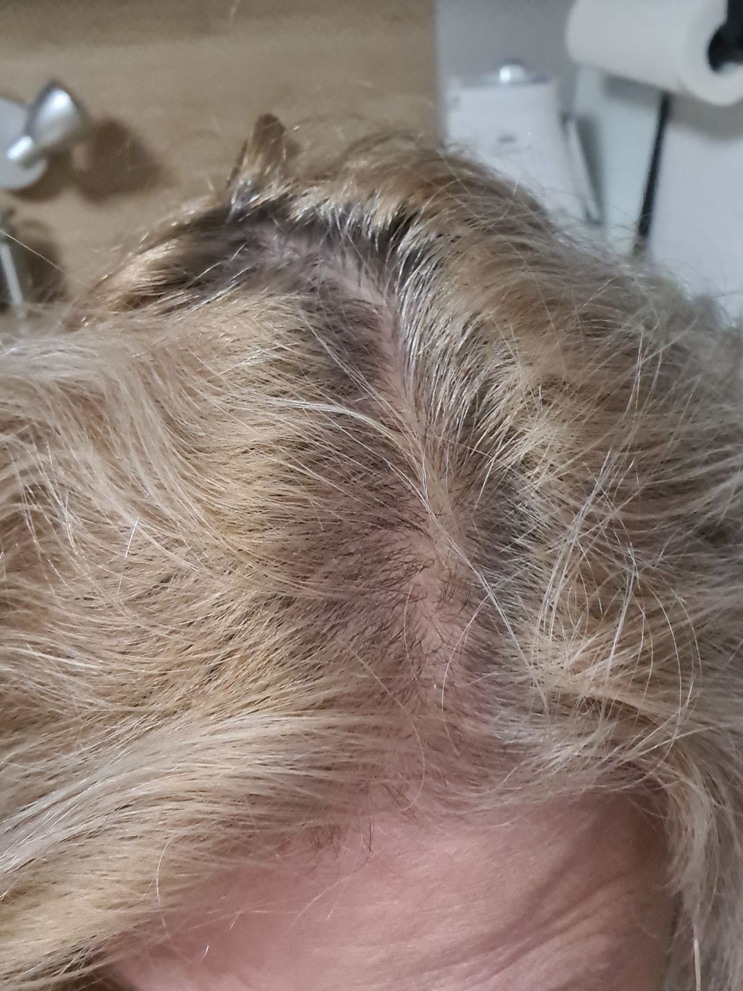 Customer photo review of Lavendel (Silber Shampoo)