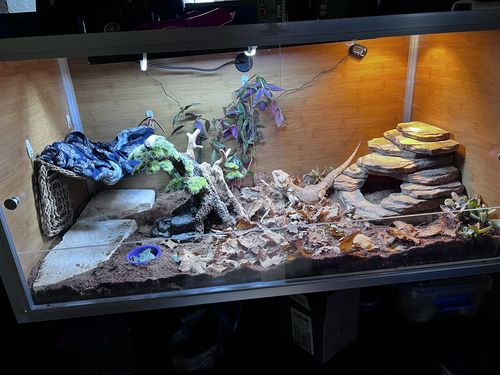 Customer photo review of 4'x2'x2' Original Wood Reptile Enclosure
