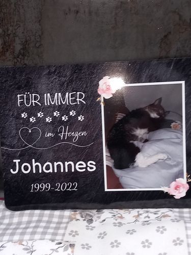 Customer photo review of Katzen Gedenktafel mit Foto & Für immer im Herzen