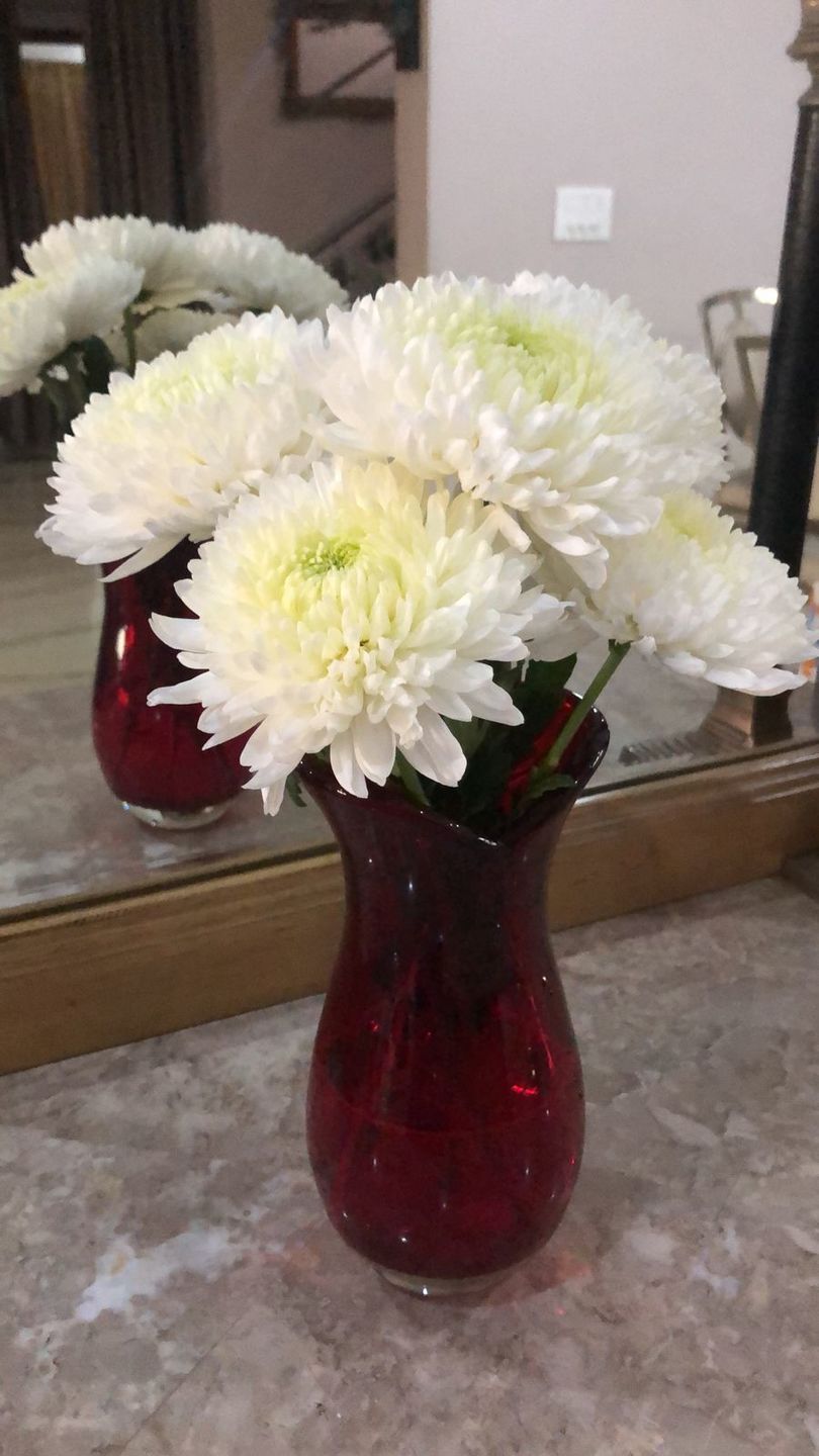 Customer photo review of Subscribe to Cut Flowers - PREMIUM
