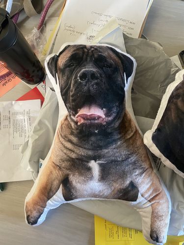 Customer photo review of Create A Custom Dog Pillow