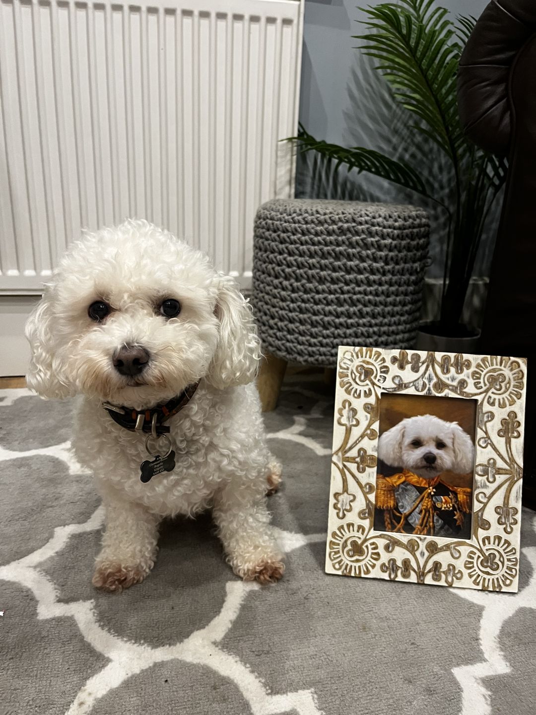 Customer photo review of The Veteran: Custom Pet Portrait