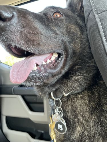 Customer photo review of Black