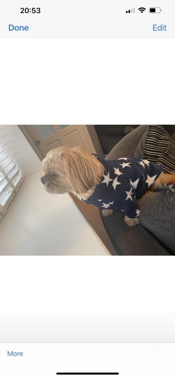 Customer photo review of White Stars Anti Pill Polar Fleece Fabric