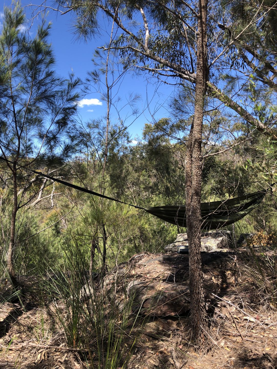 Customer photo review of Ultralight Hammock