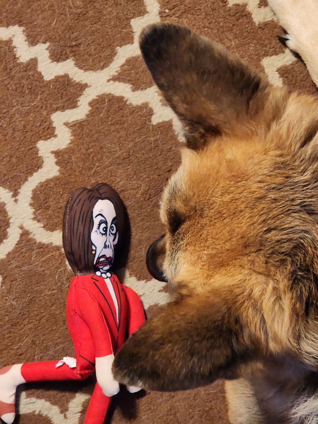 Customer photo review of Joe Biden Kamala Harris & Nancy Pelosi Starter Pack Tough Plush Dog Chew Toys with Squeakers - Official Republican Dogs