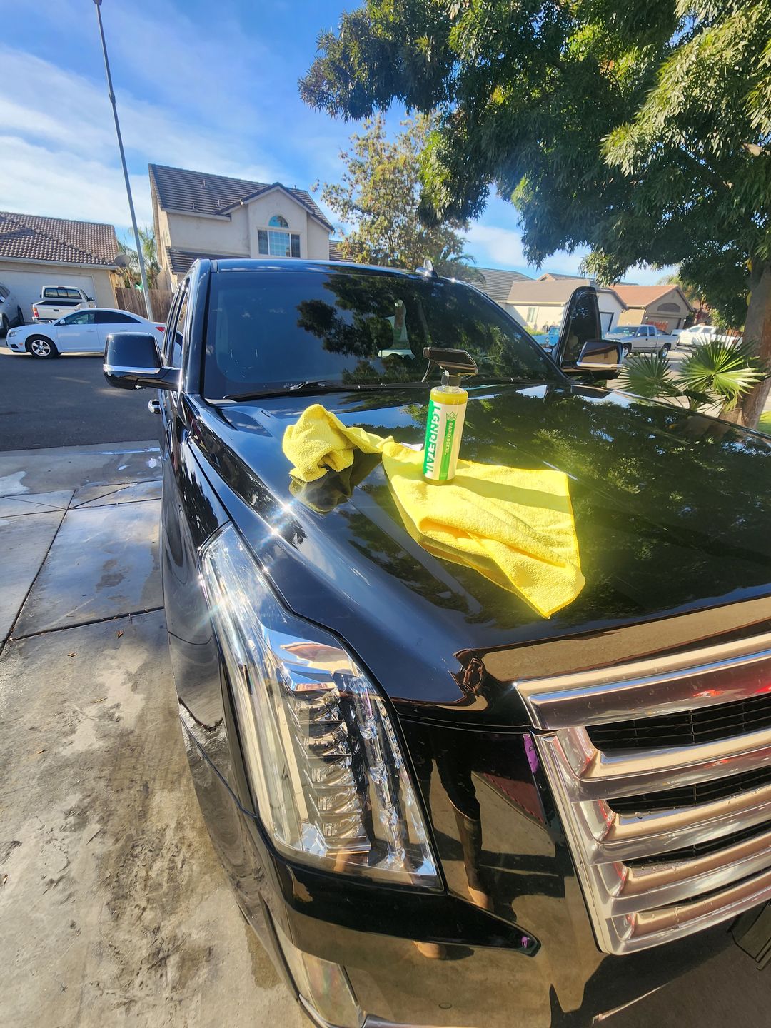 Customer photo review of Rapid Detail
