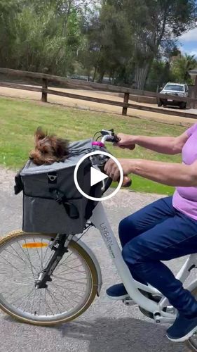 Customer video review of All In One Pet Carrier Bag | Dog Bike Basket | Backpack for Dogs & Cats | Car Booster Seat