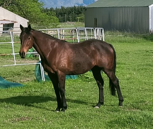 Customer photo review of Digestive EQ