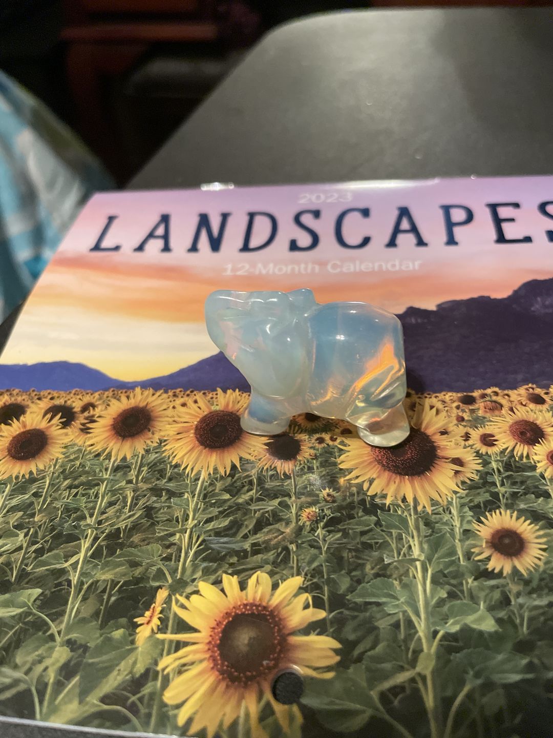 Customer photo review of Reiki Elephant Figurines