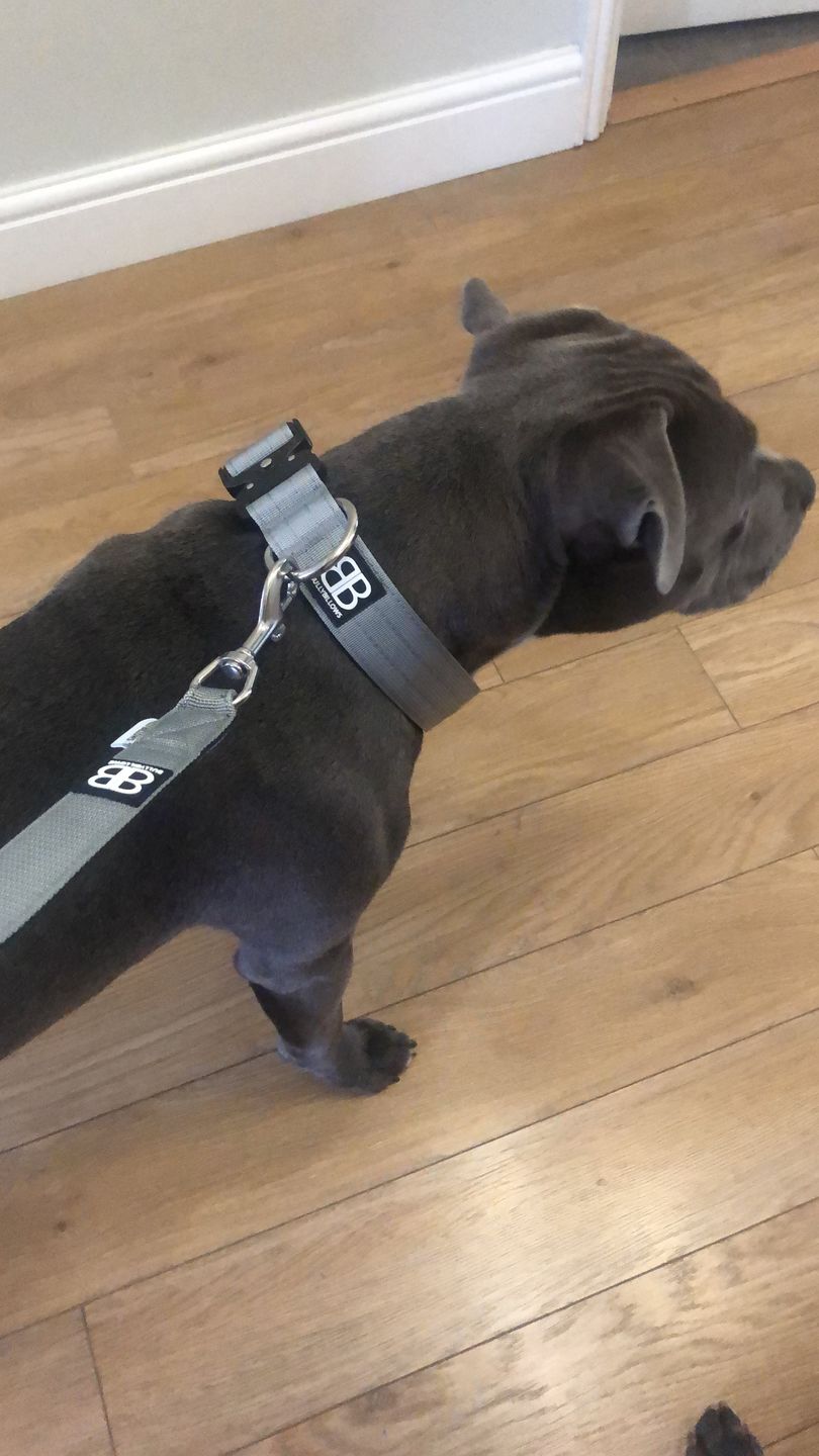 Customer photo review of 4cm Combat® Collar | Rated Clip - NO HANDLE - Metal Grey v2.0