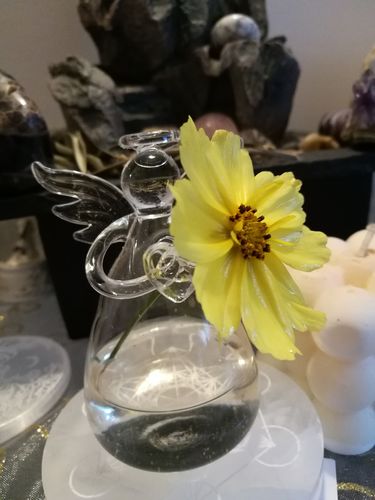 Customer photo review of Mon petit ange gardien