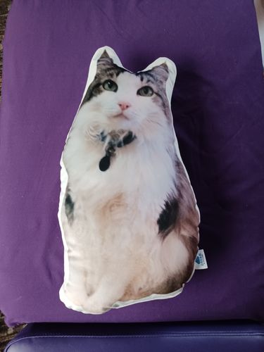 Customer photo review of Create A Custom Dog Pillow