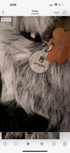 Customer photo review of Evergreen