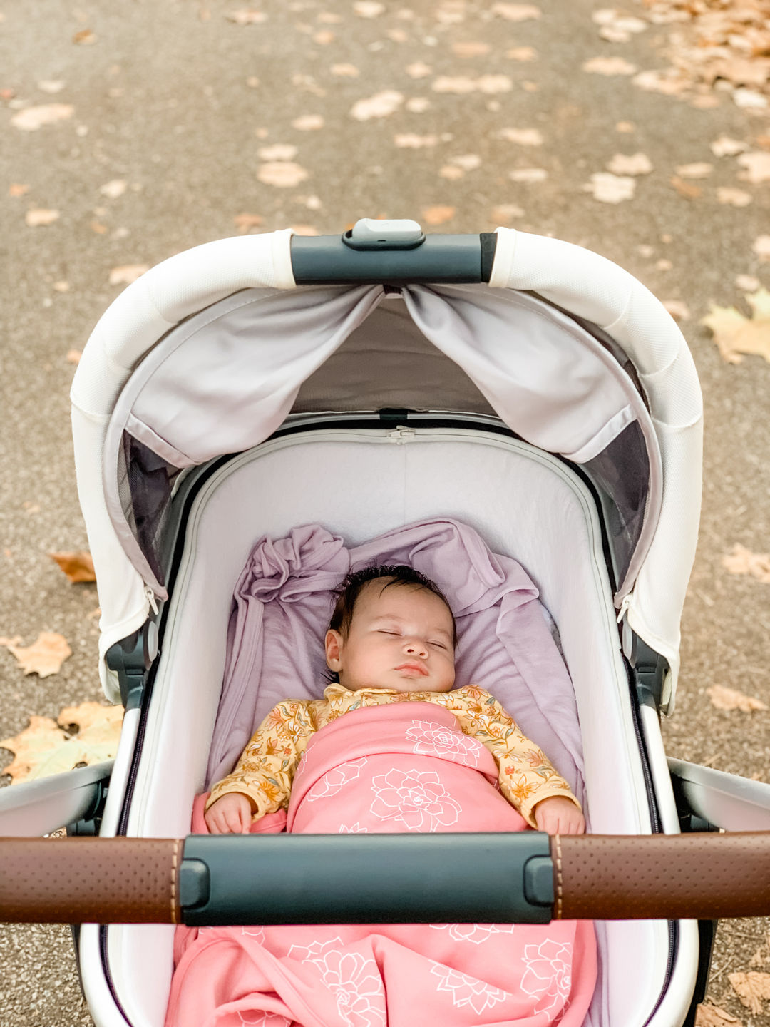 Customer photo review of 4 Season® Stroller Merino Wool & Organic Cotton Baby Blanket, 40" x 31.5", Succulent