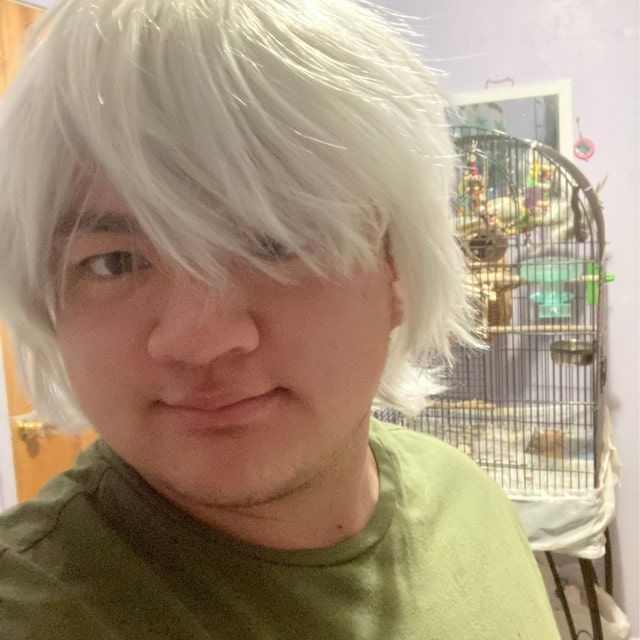 Customer photo review of Men Silver Gray Short Straight Fringe Bangs Cosplay Wig