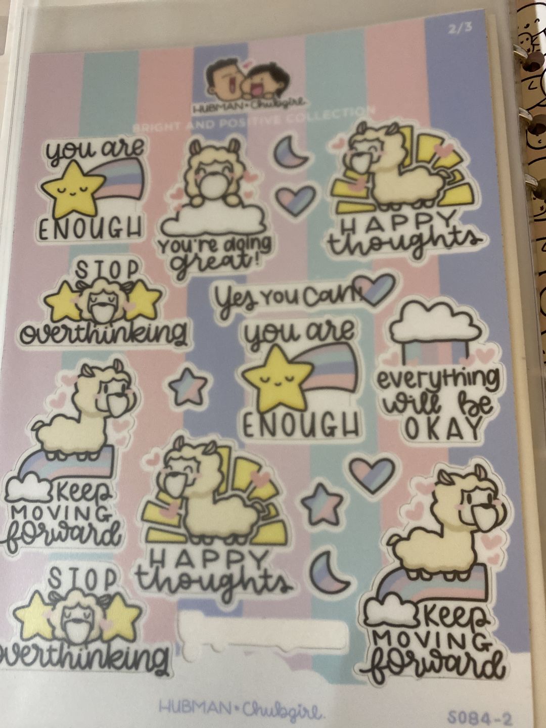 Customer photo review of Bright & Positive Collection Sticker Sheets