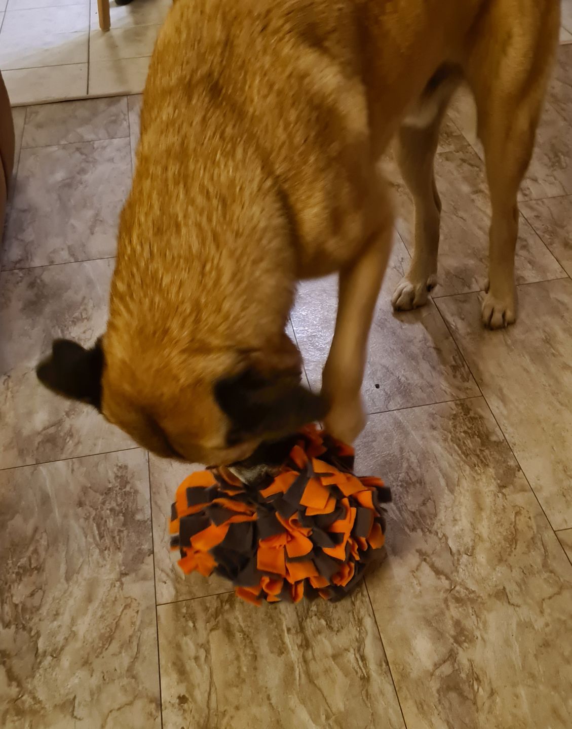 Customer photo review of Emmalove - Schnüffelball