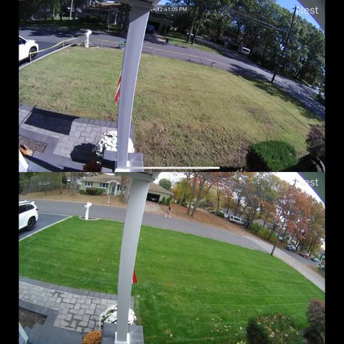 Customer photo review of GCI Turf Type Tall fescue Grass Seed