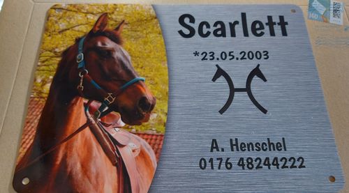 Customer photo review of Pferde Boxenschild mit Foto & Wunschtext