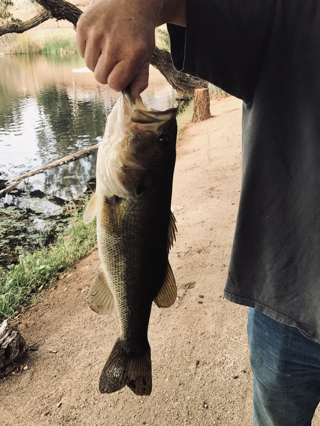 Customer photo review of TRUSCEND PoPobait with BKK Hooks, Top Water Whopper Plopper Fishing Lures for Bass Walleye Pike Catfish, Floating Lure for Freshwater or Saltwater Amazing Lures Fishing Gifts for Family Fishing [WM]
