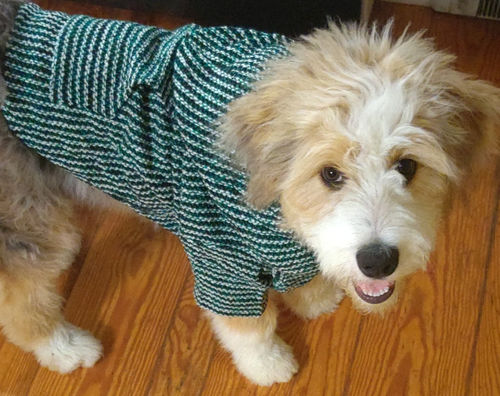 Customer photo review of Playa Poncho - Surprise Color