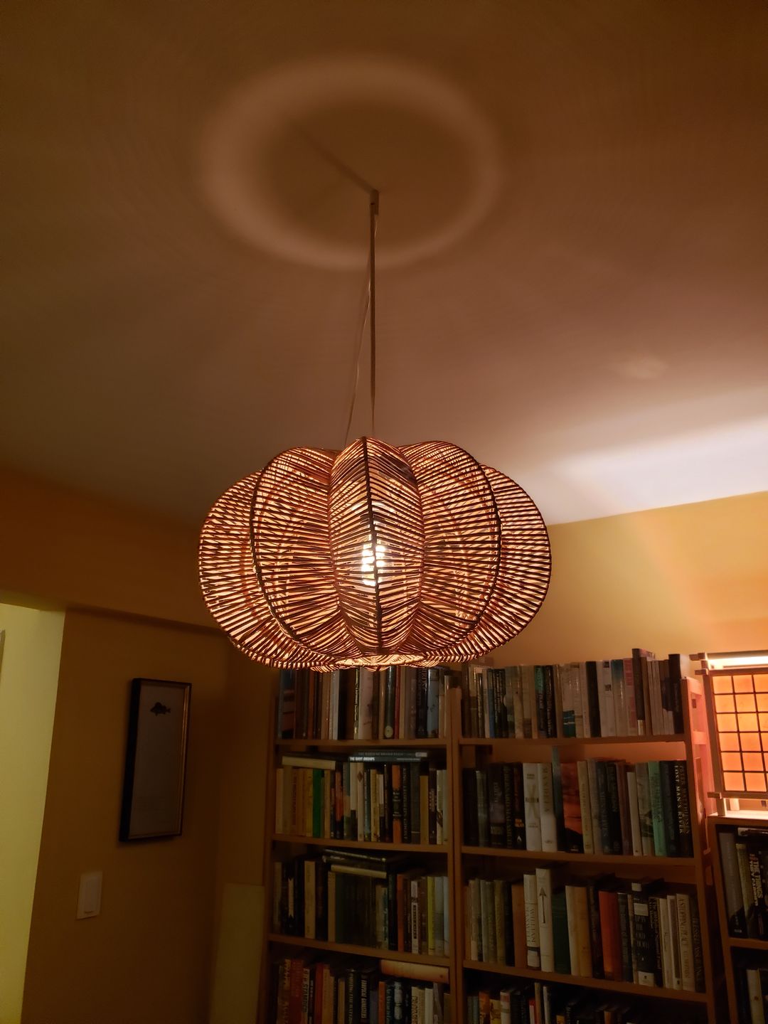 Customer photo review of Extra-Long Single-Socket White Pendant Light Lamp Cord for Lanterns, Switch, 25-Foot - Electrical Swag Light Kit