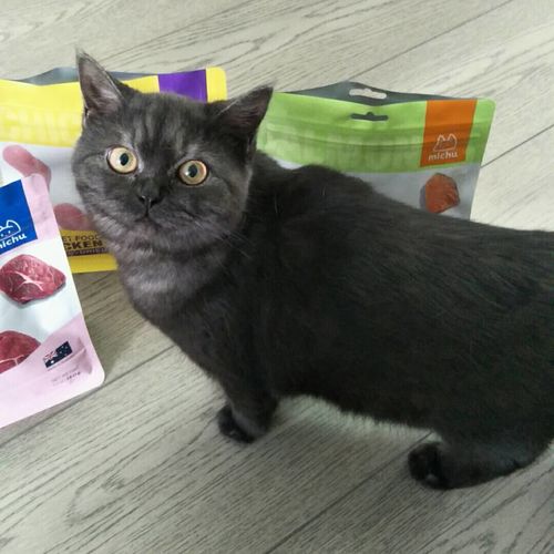 Customer photo review of Michu Freeze Dried Raw Pet Food 150g