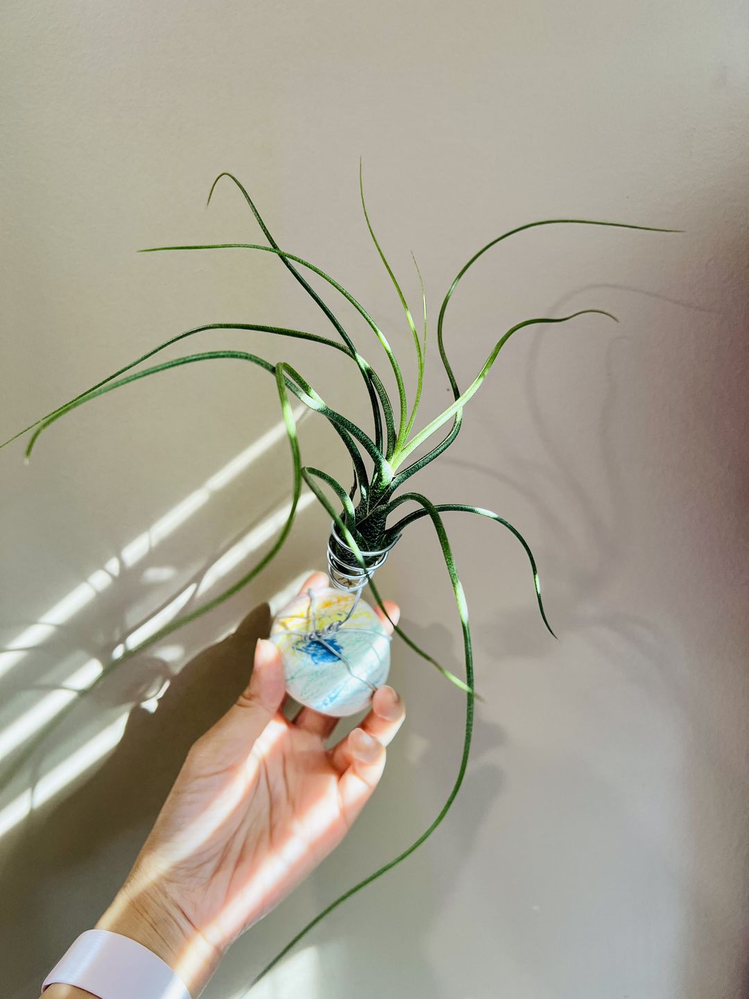 Customer photo review of Butzii